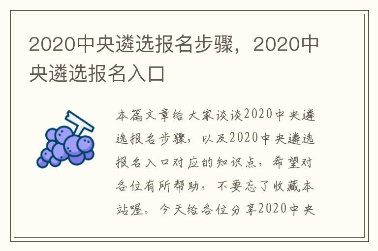 2020中央遴选报名步骤，2020中央遴选报名入口