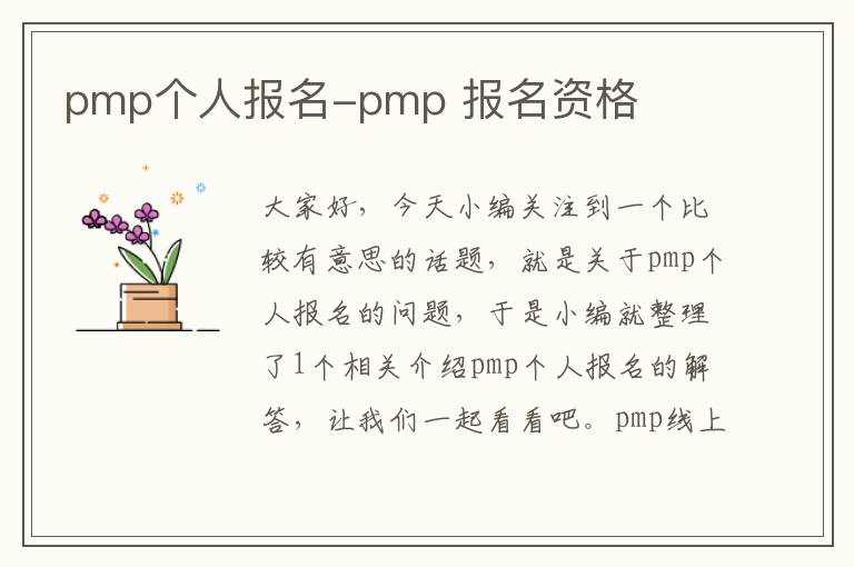 pmp个人报名-pmp 报名资格