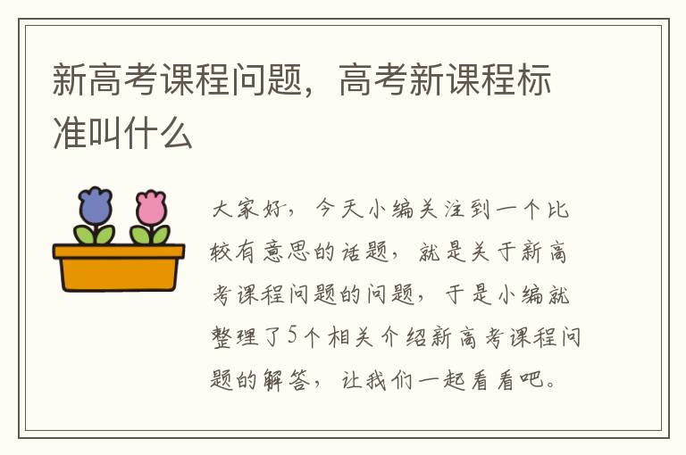 新高考课程问题，高考新课程标准叫什么