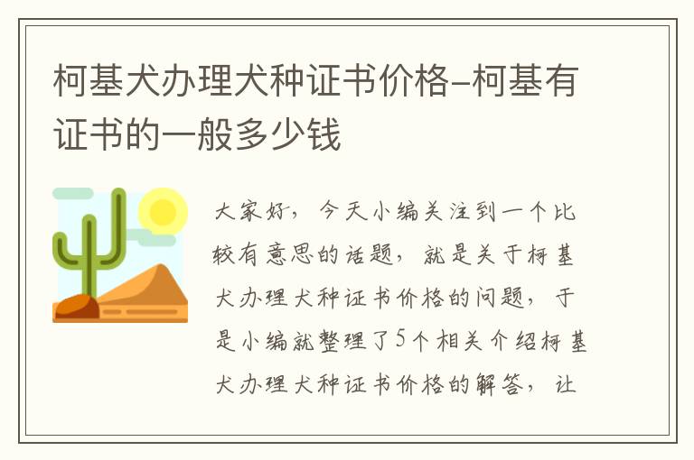 柯基犬办理犬种证书价格-柯基有证书的一般多少钱