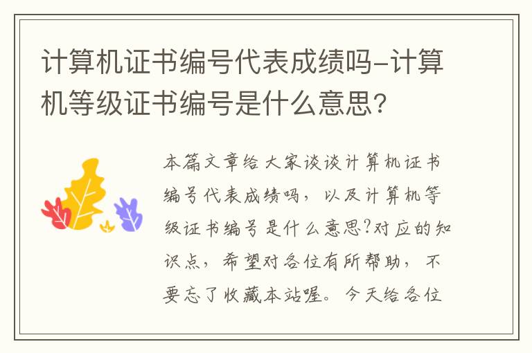 计算机证书编号代表成绩吗-计算机等级证书编号是什么意思?