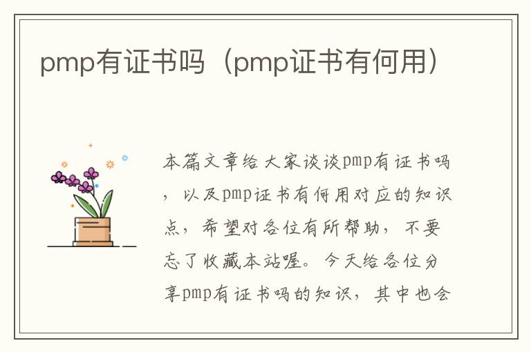 pmp有证书吗（pmp证书有何用）