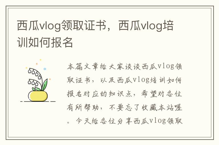 西瓜vlog领取证书，西瓜vlog培训如何报名