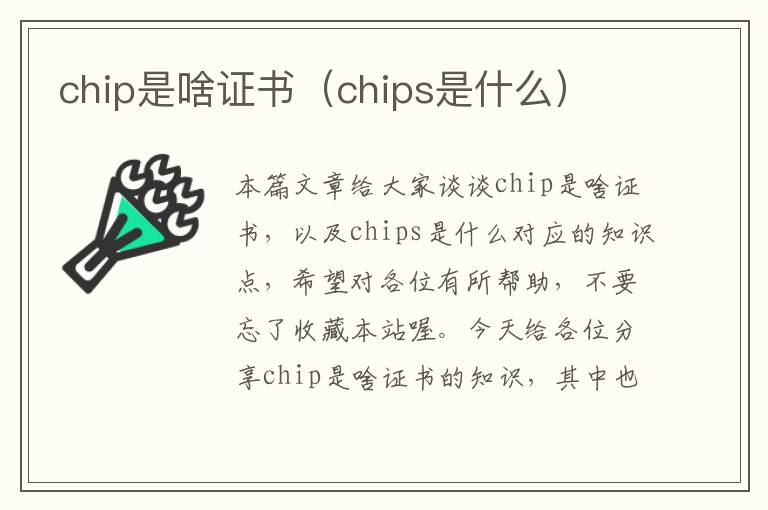 chip是啥证书（chips是什么）