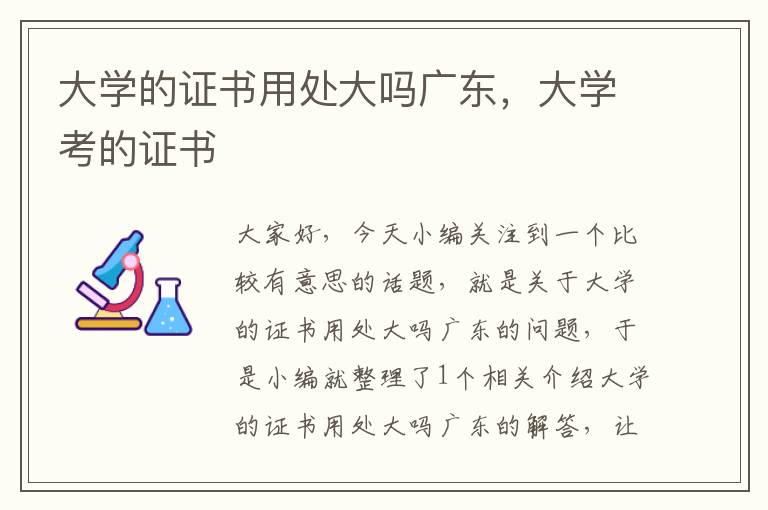 大学的证书用处大吗广东，大学考的证书