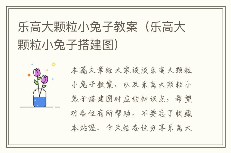 乐高大颗粒小兔子教案（乐高大颗粒小兔子搭建图）