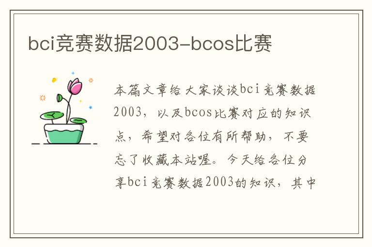 bci竞赛数据2003-bcos比赛