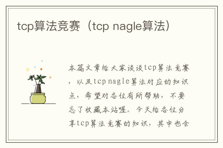 tcp算法竞赛（tcp nagle算法）