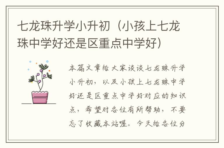 七龙珠升学小升初（小孩上七龙珠中学好还是区重点中学好）