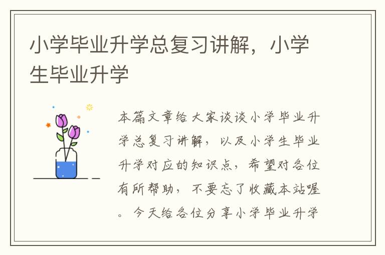 小学毕业升学总复习讲解，小学生毕业升学