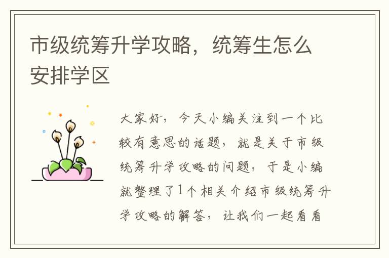 市级统筹升学攻略，统筹生怎么安排学区