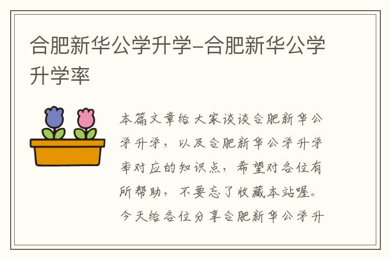 合肥新华公学升学-合肥新华公学升学率