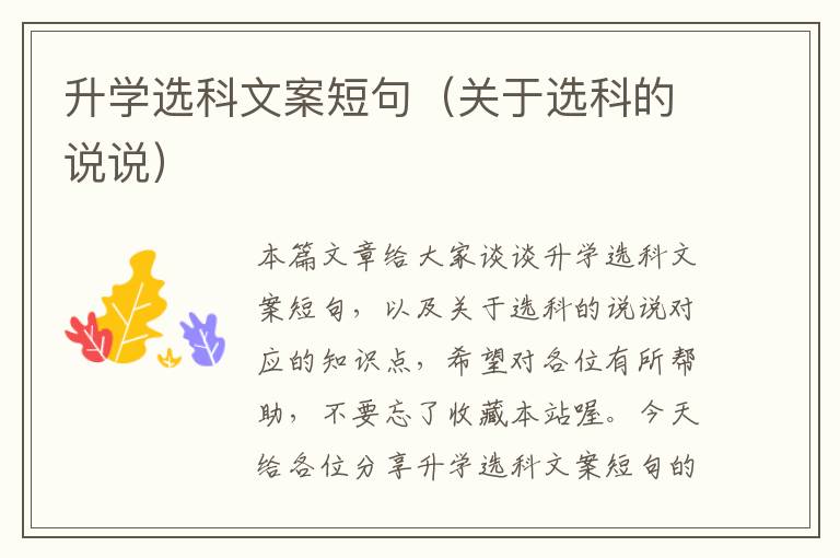 升学选科文案短句（关于选科的说说）