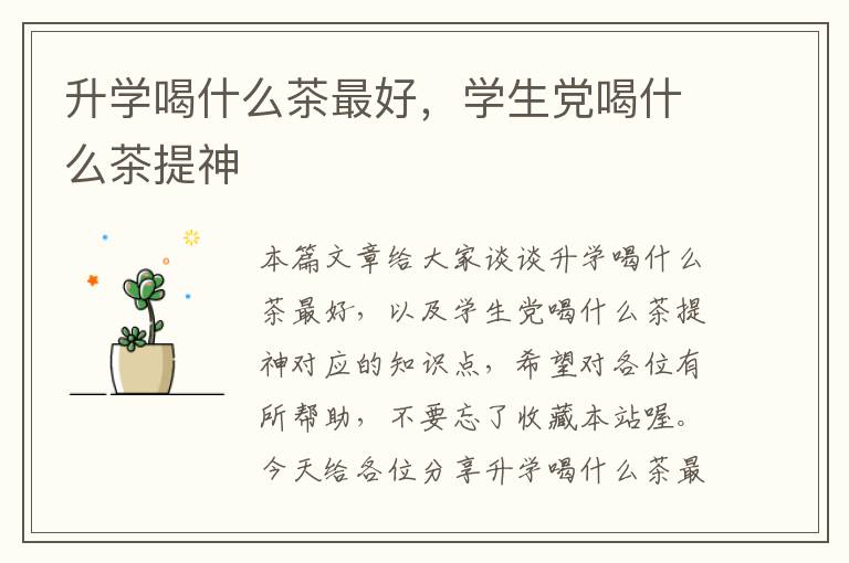 升学喝什么茶最好，学生党喝什么茶提神