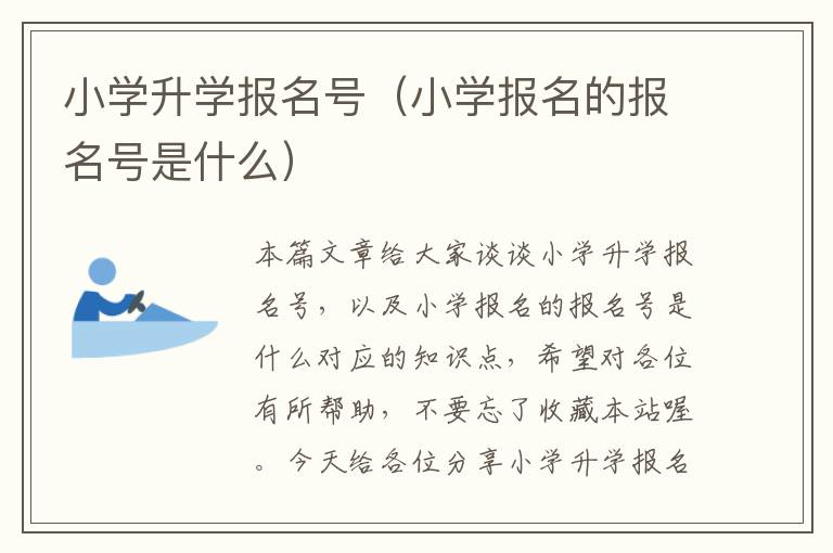 小学升学报名号（小学报名的报名号是什么）