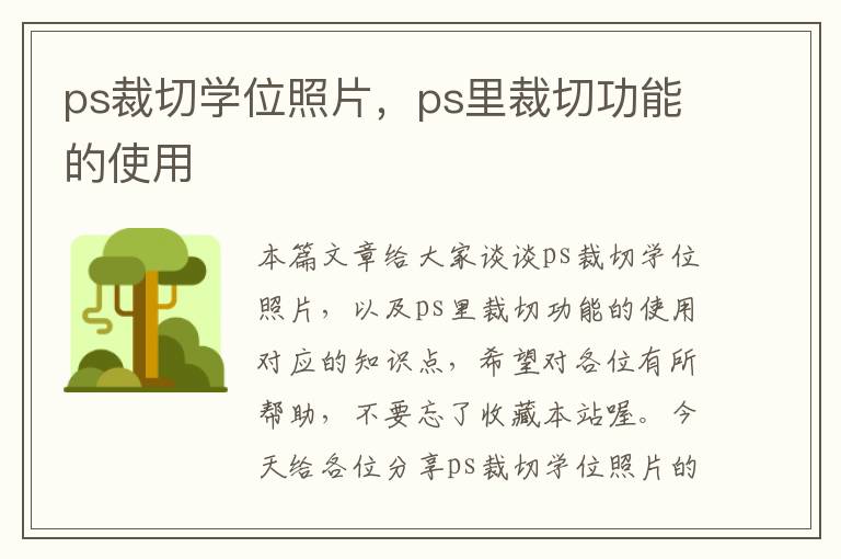 ps裁切学位照片，ps里裁切功能的使用