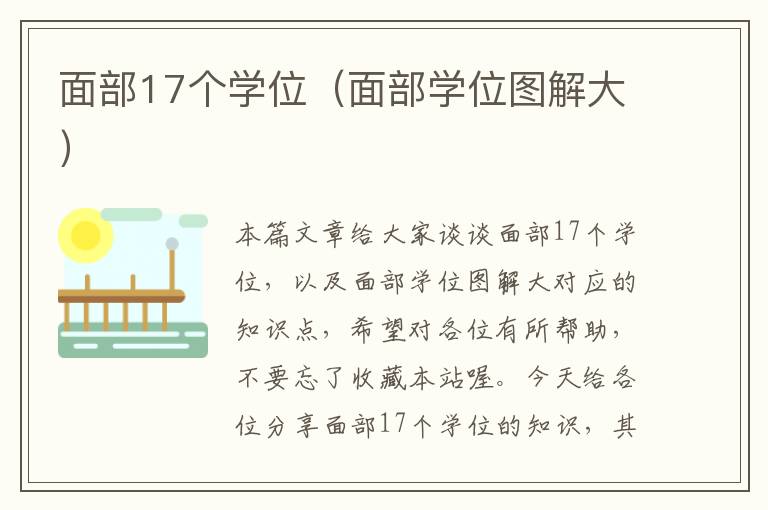 面部17个学位（面部学位图解大）