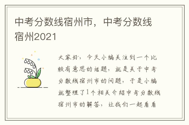 中考分数线宿州市，中考分数线宿州2021