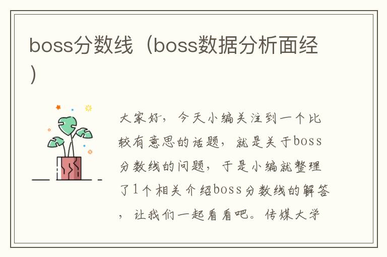 boss分数线（boss数据分析面经）