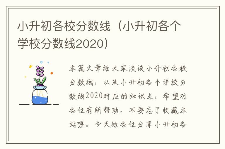 小升初各校分数线（小升初各个学校分数线2020）