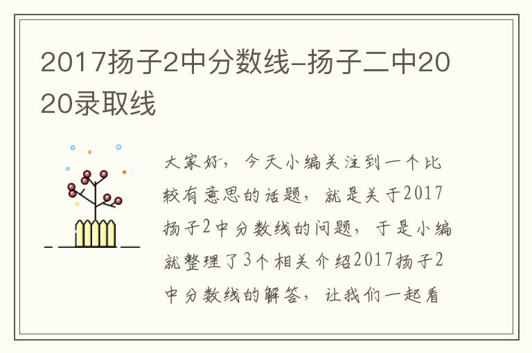 2017扬子2中分数线-扬子二中2020录取线