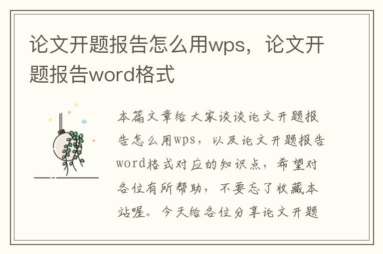 论文开题报告怎么用wps，论文开题报告word格式