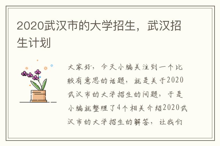 2020武汉市的大学招生，武汉招生计划