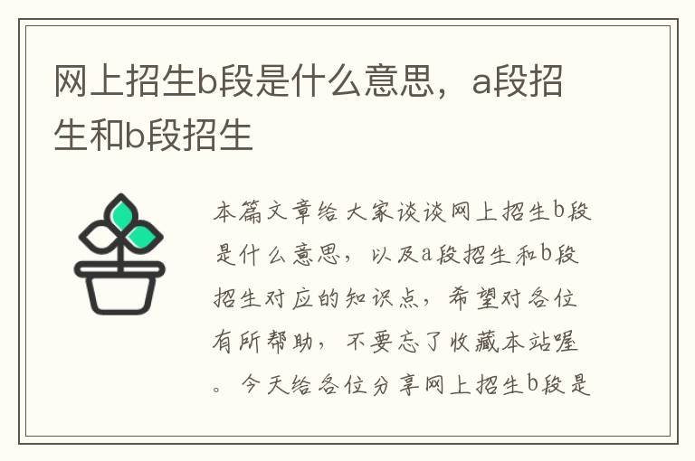 网上招生b段是什么意思，a段招生和b段招生