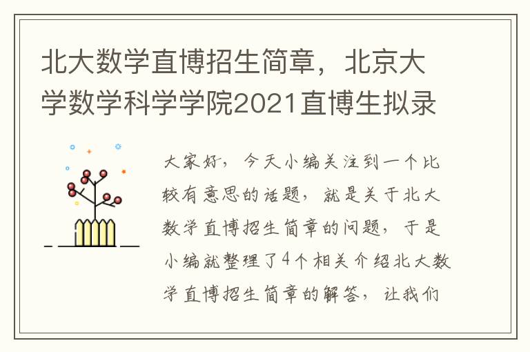 北大数学直博招生简章，北京大学数学科学学院2021直博生拟录取